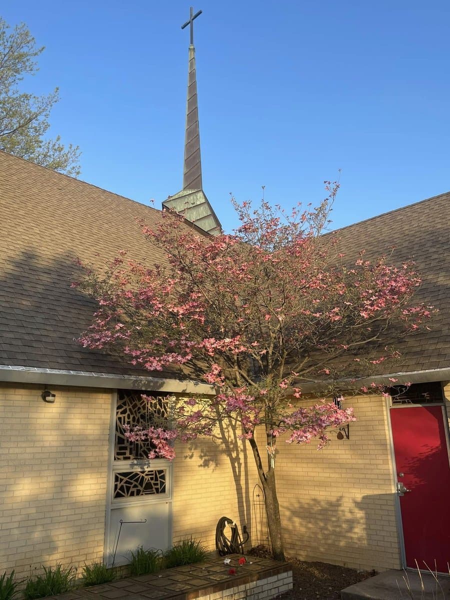 Episcopal Church of the Good Shepherd — exterior with steeple and spring blossoms